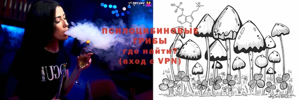 ПСИЛОЦИБИНОВЫЕ ГРИБЫ Алексин