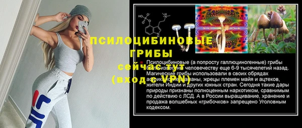 крисы Ростов