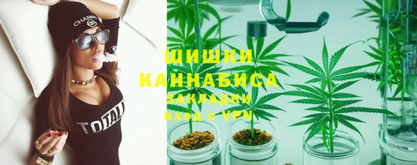 ПСИЛОЦИБИНОВЫЕ ГРИБЫ Алексин